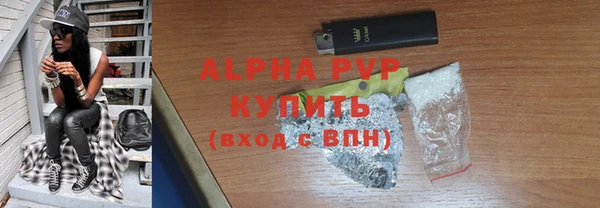 стаф Новозыбков