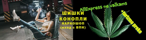 прущие грибы Абинск