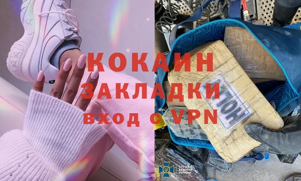 прущие грибы Абинск