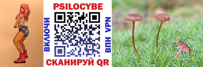дарк нет наркотические препараты Пудож Галлюциногенные грибы Psilocybine cubensis наркошоп